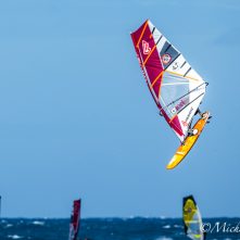 Fanatic_Stubby 2017